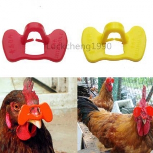 Quşlar üçün şpilkasız eynək. O birilərindən fərqi bir neçə dəfə istifadə edəbilərsiniz.