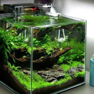 Bio filtir salale boyu wf-2045
su pompalama, su de