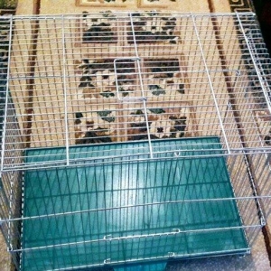 Teze iri qefes satilir. ON terefden ve Yan terefden Qapisi acilir. Olc