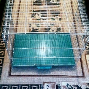 Teze iri qefes satilir. ON terefden ve Yan terefde