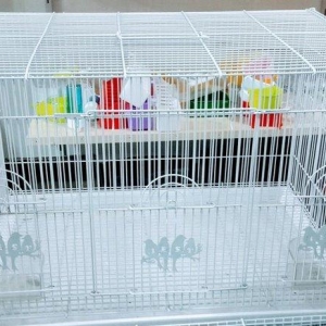 Iri teze qefes satilir. 65×45×45 ara kesmeside v