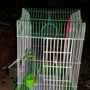 TEZE ISLENMEMIS QEFES SATILIR. HERBIRSEYI VAR. SATISDA 25 AZNDI. SONU