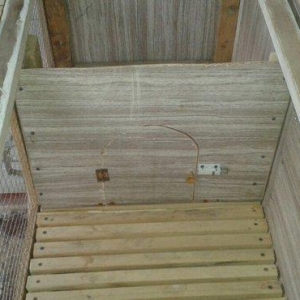 her cure kletkalar duzeldirem. Bu kletka dovsan ucun nezerde tutulub.