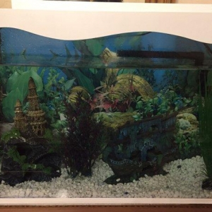 Akvarium her weyi icinde bir dene baliq filtr ,dekorasiyalar.