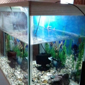 Problemi yoxdu. Isiqlidi. Her bir seyi icinde verilir.tutumu 40 litrdi