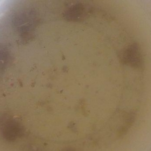 Tecili akvarium satilir 2 eded. Icinde baliqlari dasi tebi otu isigi