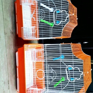 teze qefesler satilir. Cox gozeldirler rengleri va