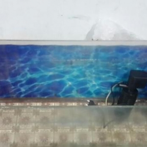 Akvarium 85sm eni 26sm. Icindeki aksesuarlar var. Hava temizliyen ve d