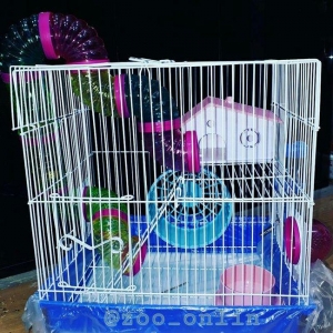 Cunqariklercun Teze iri qefes satilir. gorduyunuz 