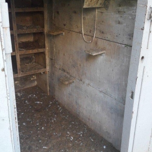 Tecili satilir real aliciya endirim var fikri cidd