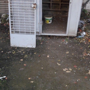 Tecili satilir real aliciya endirim var fikri ciddi wexler narahat ets