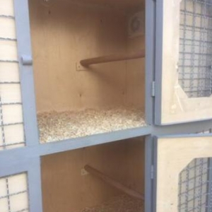 Qәfәs eni-0,75 sm. uzunluğu-1,50 sm. hündürlüyü-1,85 sm. havalandırma.