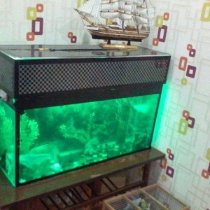 Icindekileri ile birlikde 250 m
Iki baliq var icin