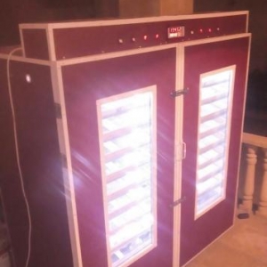 5000 toyuq yumurtasi tutumlu tam avtomatik Inkubator. merkezlesmis bey