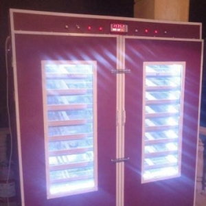 5000 toyuq yumurtasi tutumlu tam avtomatik Inkubator. merkezlesmis bey