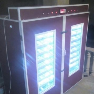 5000 toyuq yumurtasi tutumlu tam avtomatik Inkubator. merkezlesmis bey