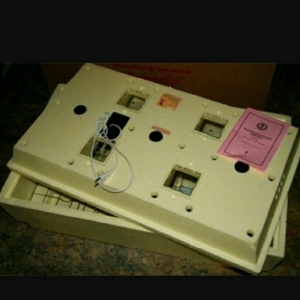 inkibator. yüngül təmirə ehtiyacı var. təcili satıram. 98 toyug. 50qaz