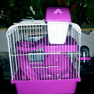 Teze iri xamyak cunqarik qefesi satilir. Domik kal