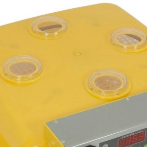 56 yumurtaliq tam avtomatik İnkubator (cücə ç