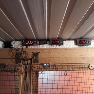 Bruder 600 cuce tutumlu ozume 550 manata basa geli