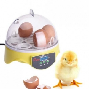 7 yumurtalıq İnkubator

yeni ,qutusunda 7 yumurtalıq İnkubator satılır