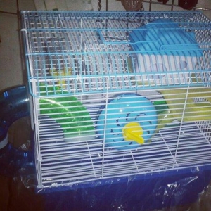 Xamyak ve chunqariklercun teze qefes satilir her b