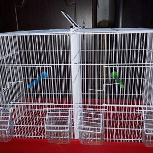 Quslarcun ortadan iki hisseye bolunen teze genks butun aksesuarlari il