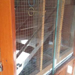 papuqaylar üçün iri qəfəsdi iki yuvası, işıqı, yay qapısı, qış qapısı