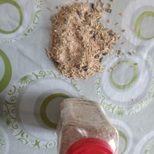 kiçik dovşan balaları satılır. Sağlam və təmizdilər. Dovşan balaları ç