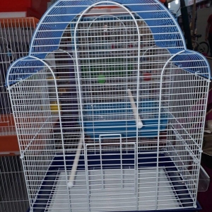 Papuqay ve korellalar cun teze qefes butun aksesua