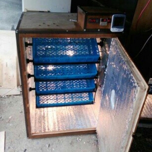 inqubator yigilir. tam avtomatik. isdenilen yumurta sayina. butun nov