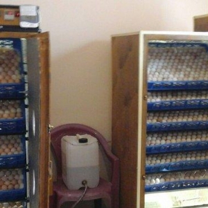 inkubator yigilir, tam avtomatik is rejimine malikdir. her bir sey avt