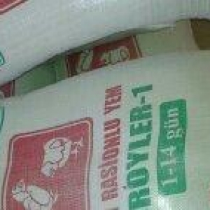 Salam. Keyfiyyetli bol proteyinli ve vitaminli kokeltme toyuq cuce ve