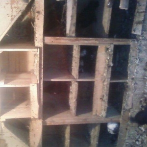 Goyercin 18eded goercindi ebrew cilbaw qara kekilidi xana qariwiq sati