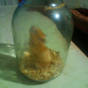 Добрый всем.продаю одново х