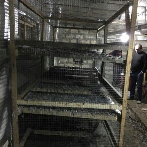 teserufat ucun siginacag sam mohkem
eni 1.20
uzunl