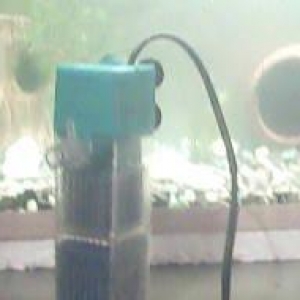 Uzunu60 eni20 hundurluyu 30 qapaqida var 
tek akvarium-20 
akvarium