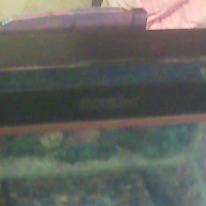 Uzunu60 eni20 hundurluyu 30 qapaqida var 
tek akvarium-20 
akvarium