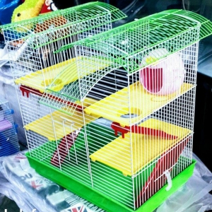 Xamyak ve chunqariklercun boyuk olcude qefes satil