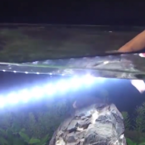 Особеннос AquaLighter 1 (75 см) до 99 смУльтратонкий (7.5 мм),