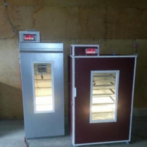 inkubator. 500 yumurta tutumludur. butun inkubatorlarimiz kimi bundada