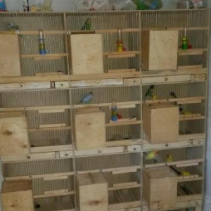 Qefes satilir. 9 gozlu qefes, 9 yuva, olcususu 1.7