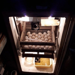 elde yigilma inkubatur 180 yumurta tutumlu avtamotik deyil qapisi acil