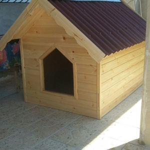 it ucun yuva iki it ucun nezerde tutub. 1.50uzun e