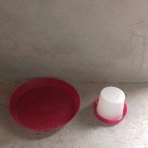 Broller  toya cuce yem &#039;ve su qablari ( kicik &#039;ve balaca ) satilir qiy