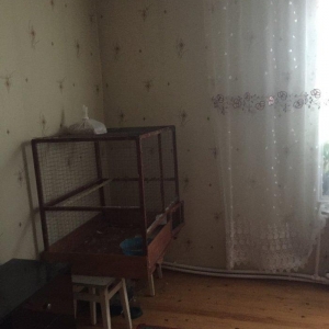 Papuqay ucun qefes iki eded valnisti ucun yuva ve 