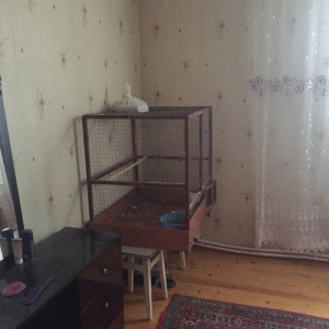 Papuqay ucun qefes iki eded valnisti ucun yuva ve bir eded balaca qefe