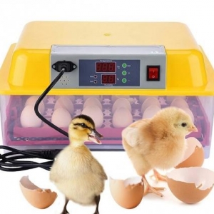 Tam avtomatik İnkubator (cücə çıxaran aparat ) tam yenidir, qutusund