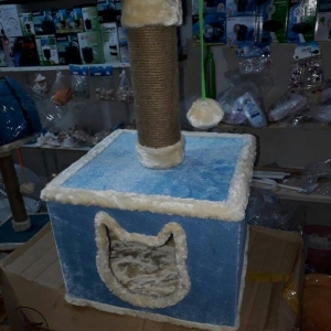 Sevimli it ve piwikler ucun Istenilen Mehsulu en s