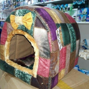 Sevimli it ve piwikler ucun Istenilen Mehsulu en s